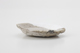 FileNo.170-119.jpg