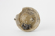 FileNo.170-125.jpg