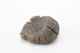 FileNo.170-139.jpg
