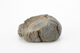 FileNo.170-141.jpg