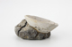 FileNo.170-142.jpg