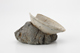 FileNo.170-145.jpg