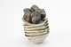 FileNo.170-149.jpg