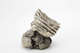 FileNo.170-153.jpg