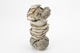 FileNo.170-155.jpg