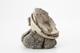 FileNo.170-157.jpg