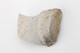 FileNo.170-159.jpg
