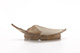 FileNo.176-050.jpg