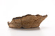 FileNo.176-051.jpg