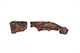 FileNo.176-060.jpg