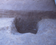 FileNo.177-022.jpg