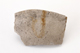 FileNo.177-065.jpg