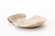 FileNo.177-081.jpg