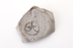 FileNo.177-114.jpg