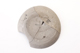 FileNo.177-115.jpg
