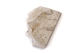 FileNo.177-117.jpg