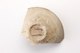 FileNo.177-119.jpg
