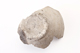 FileNo.177-123.jpg