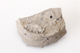 FileNo.177-125.jpg
