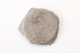 FileNo.177-133.jpg
