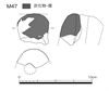 図版 177-JM47.png