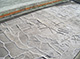 FileNo.168-009.jpg