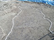 FileNo.168-017.jpg