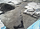 FileNo.168-018.jpg