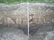 FileNo.168-019.jpg