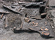 FileNo.168-079.jpg