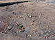 FileNo.168-080.jpg