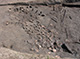 FileNo.168-081.jpg