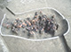 FileNo.168-092.jpg