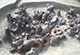 FileNo.168-094.jpg