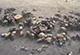 FileNo.168-098.jpg