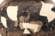 FileNo.168-156.jpg