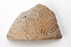 FileNo.168-183.jpg