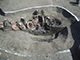 FileNo.168-255.jpg