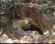 FileNo.169-007.jpg