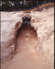 FileNo.169-011.jpg