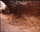 FileNo.169-013.jpg