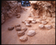 FileNo.169-014.jpg