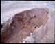 FileNo.169-016.jpg