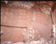 FileNo.169-018.jpg