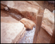 FileNo.169-023.jpg