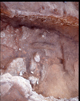 FileNo.169-030.jpg