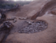 FileNo.169-042.jpg