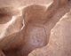 FileNo.169-043.jpg