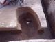 FileNo.169-044.jpg