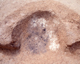 FileNo.169-045.jpg